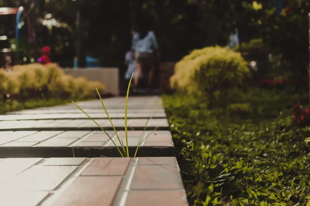 Dlaczego warto łączyć kostkę brukową z drewnem?