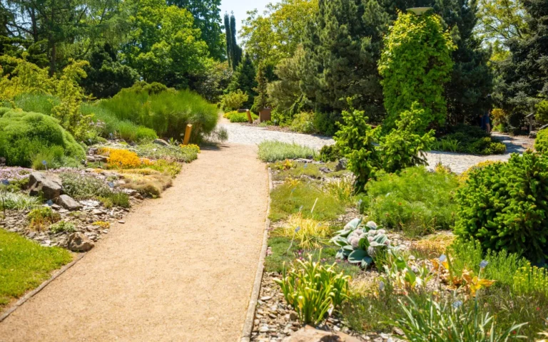 Obrzeża a komfort codziennego użytkowania ogrodu