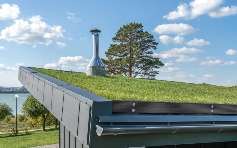 Płyty brukowe a zielone dachy i tarasy